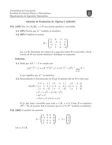 A-C2-2013PAUTA2.pdf