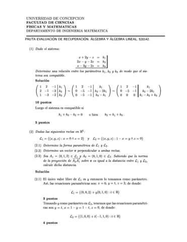 A-R-2003PAUTA3.pdf