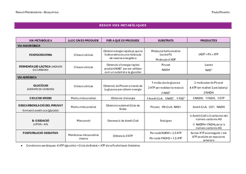 Resum vies metabóliques.pdf