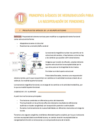 TEMA-2-PSICOBIOLOGIA.pdf