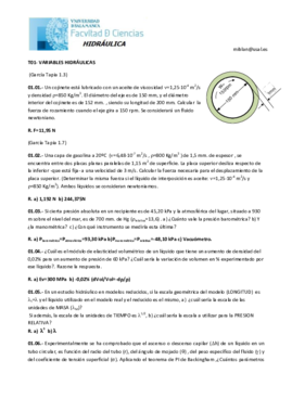 Problemas Tema 1.pdf