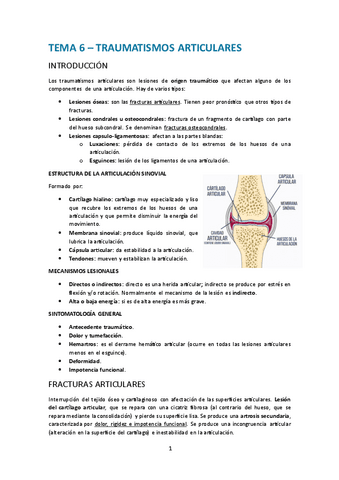 Tema-6.-Traumatismos-articulares.pdf