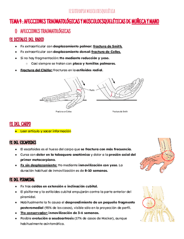 Tema 9: mano y muñeca.pdf