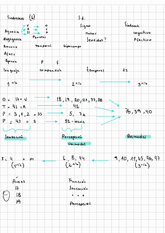 Neuro-7.pdf