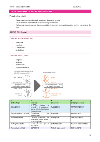 UT1-Tema-4.-Desenvolupament-professional.pdf