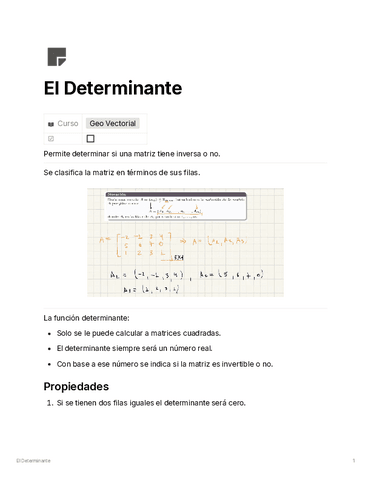 El-Determinante.pdf