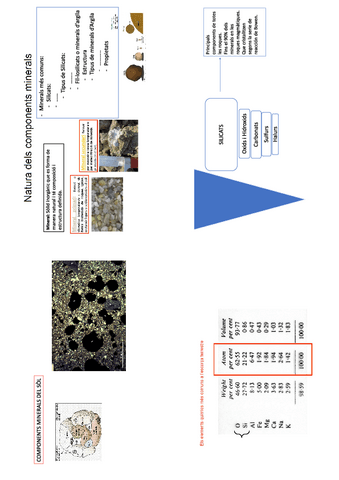 T1-Components-minerals.pdf