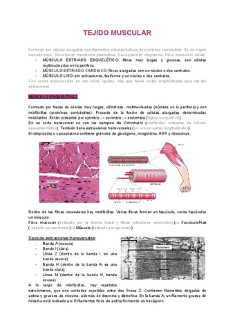 3.1-Tejido-muscular-Estriado-Esqueletico.pdf