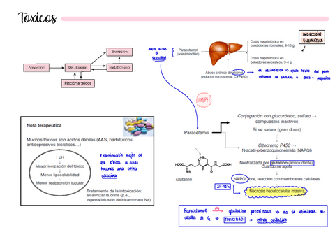 RESUMENES-LASO-con-imagenes.pdf