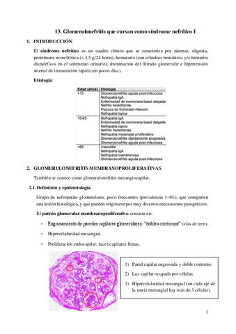 13.-Glomerulonefritis-que-cursan-como-sindrome-nefritico-I.pdf