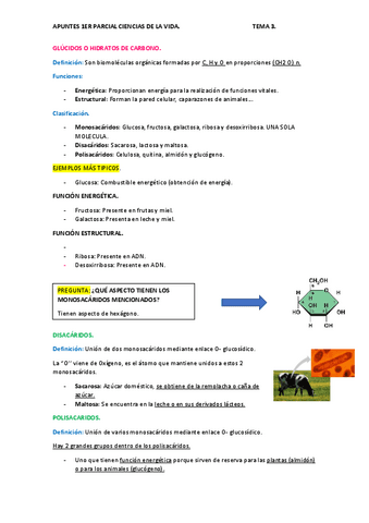 TEMA-3-1ER-PARCIAL.pdf