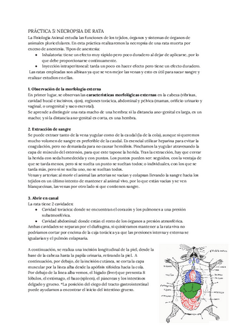 PRACTICAS-5-8.pdf