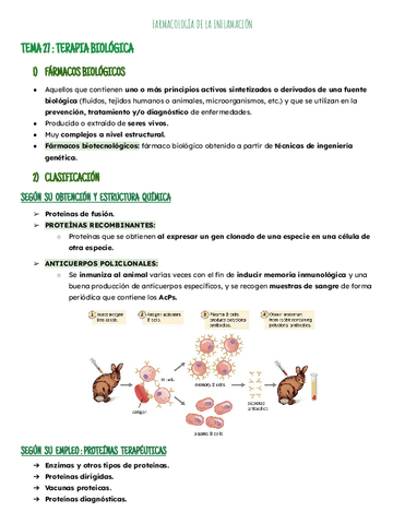 Temas 27-28: bloque inflamación.pdf