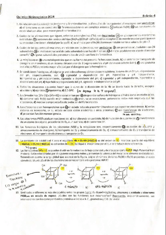 Boletin-4-bioinorganica.pdf