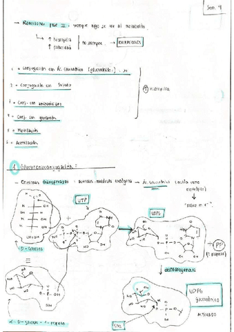 Seminario-4-diseno.pdf