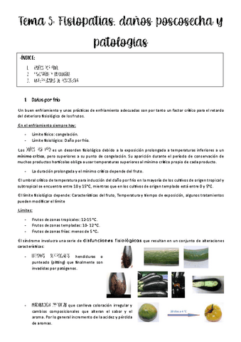 tema-5-productos.pdf