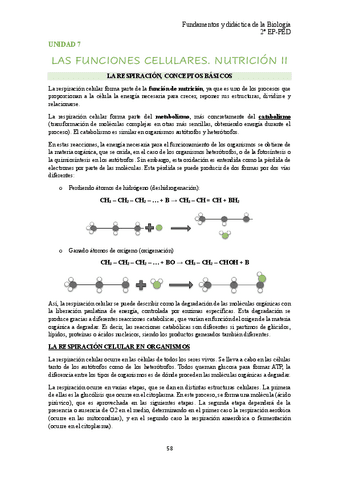 unidad-7-bio.pdf