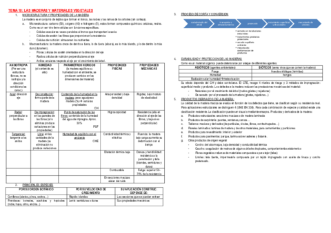 TEMA 10.pdf