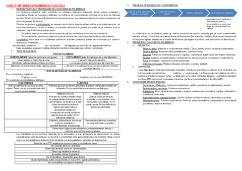 TEMA 11.pdf