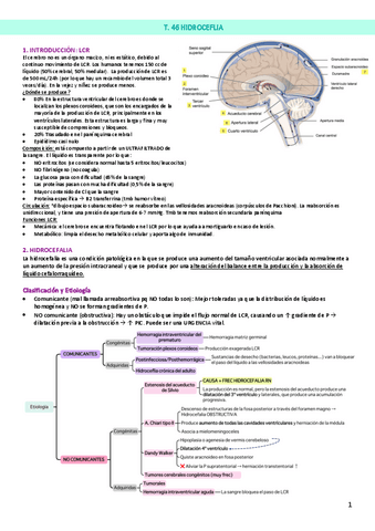 T.-46-Hidrocefalia.pdf