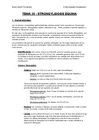 TEMA-20-STRONGYLIDOSIS-EQUINA.pdf