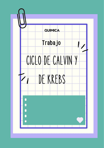 Ciclo-de-Calvin-y-Krebs.pdf