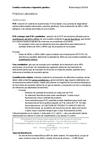 Practica-Laboratorio-Apuntes.pdf