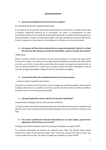 AUTOEVALUACION.pdf