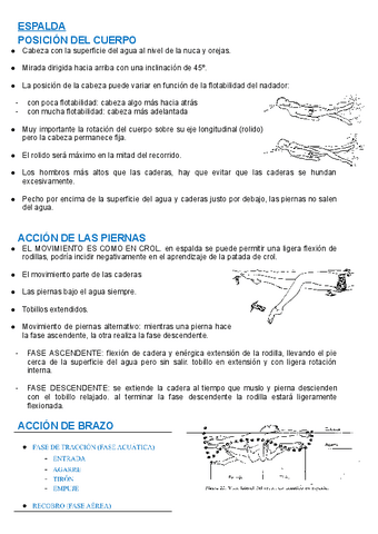 TEMA-4-ESTILO-DE-ESPALDA.pdf