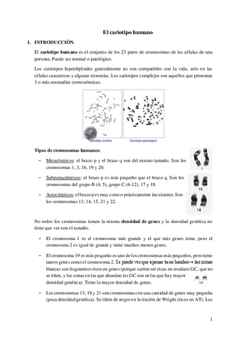 El-cariotipo-humano.pdf