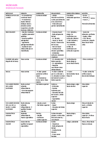 Tablas-Musculos-Anatomia-Bucodental.pdf