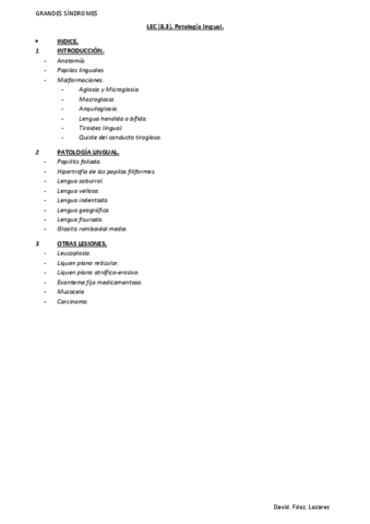 LEC-8.3.-Patologia-lingual..pdf