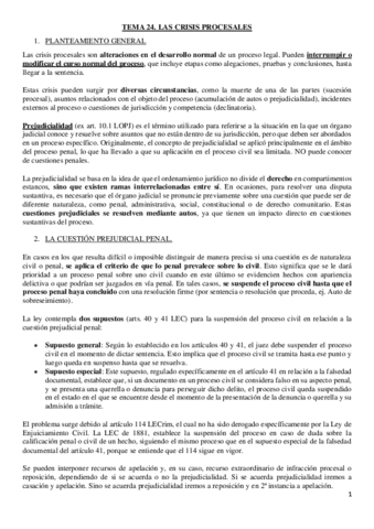TEMA-24.pdf