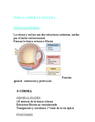 FISIO-OCULAR-T3.pdf