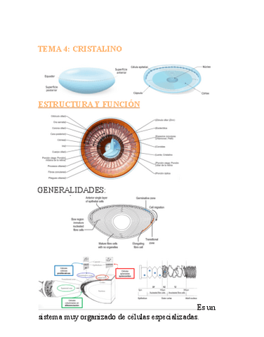 FISIOLOGIA-OCULAR-T4.pdf