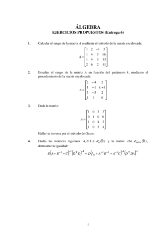 AlgebraEjerciciosE62021-22.pdf