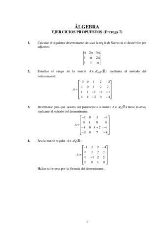 AlgebraEjerciciosE72021-22.pdf
