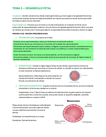 Tema-5-Desarrollo-Fetal.pdf