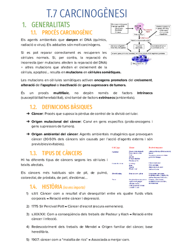 T.7-CARCINOGENESI-EN-PROCES.pdf