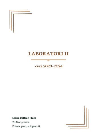 informe-lab-II-definitiu.pdf