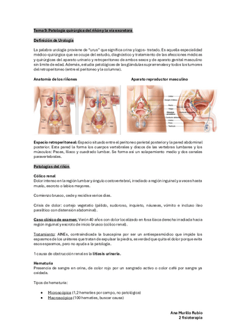 Tema-9-afecciones-quirugicas-de-rinon-y-vias-urinarias.pdf