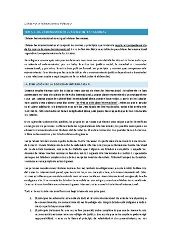 DERECHO-INTERNACIONAL-PUBLICO.pdf