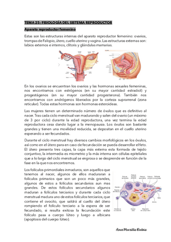 sistema-reproductor.pdf