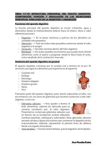 Aparato-digestivo.pdf