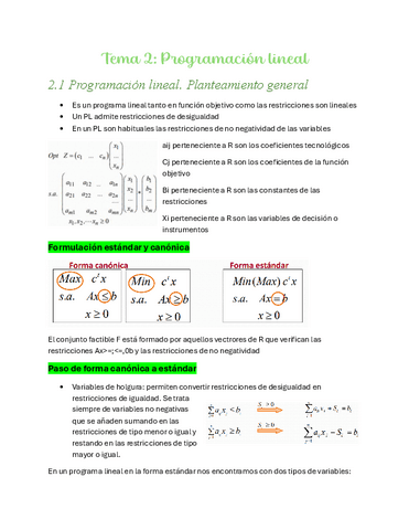 Tema-2-Programacion-lineal.pdf