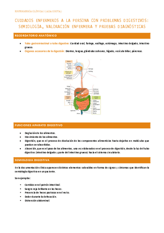 6.1Curas-enfermeras-a-la-persona-con-problemas-digestivos-Semiologia-valoracion-enfermera-y-pruebas-diagnosticas.pdf
