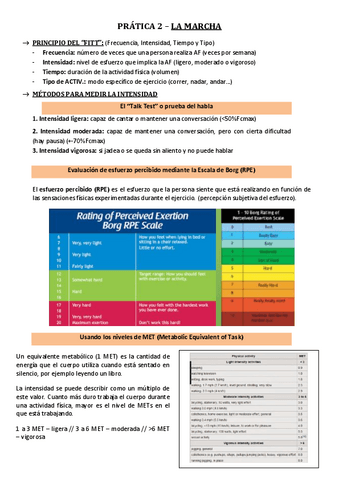 PRATICA-2-APUNTES-EXAMEN.pdf
