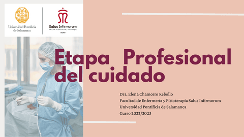 Etapa-Profesional-del-cuidado.pdf