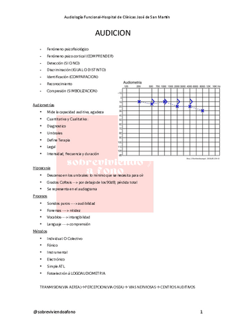 Audiologia-Funcional-Clinicas.pdf