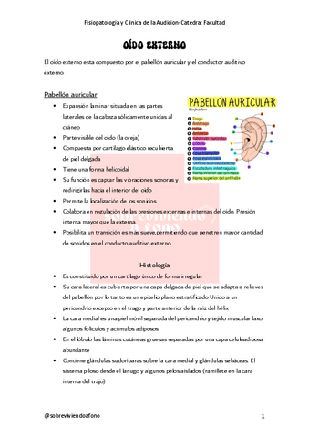 Fisiopatologia-y-Clinica-de-la-Audicion-Catedra-Facultad.pdf